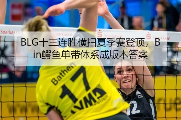 BLG十三连胜横扫夏季赛登顶，Bin鳄鱼单带体系成版本答案